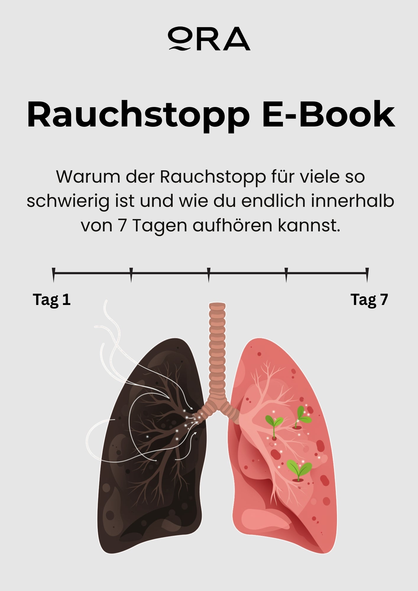 Rauchstopp e-Book